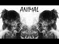 ZARA G - ANIMAL (Letra)