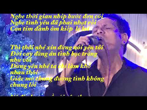 Đừng yêu tôi em nhé - Vũ Đức Võ