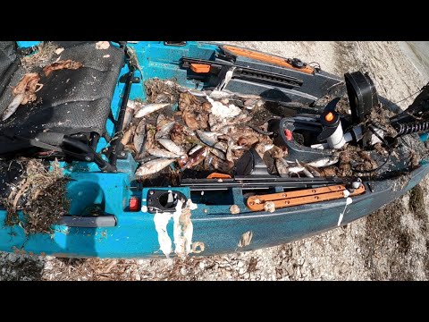 I Almost Ruined My Kayak, Tried Cleaning With Better Boat Soap And Medium Bristle Brush Review