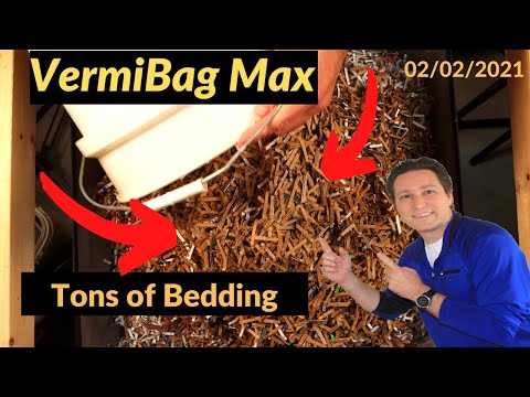 Vermibag Max Fruit Fly Solution 02/02/2021