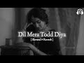 Dil Mera Tod Diya Usne Slowed Reverb Alka Yagnik Dil Mera Tod Diya Usne Bura Kyu Manu LoFi