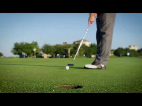 Attorney Kelly M. Davidzuk | LII Attorney Directory