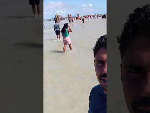 dia de diversão em família