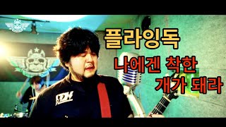 플라잉독 - 나에겐 착한 개가 돼라(feat. Esther From DIH) Studio LIVE @경록절 2024
