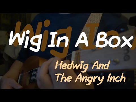 Wig In A Box - Hedwig