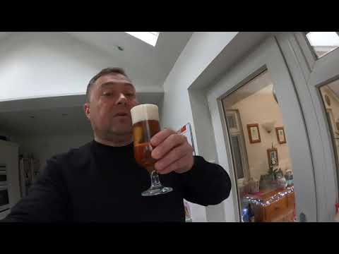 Krups Beer Sub, review  home beer dispenser , is it worth it ?