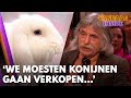 Johan stopte abrupt met management cursus: 'We moesten konijnen gaan verkopen...' | VANDAAG INSIDE