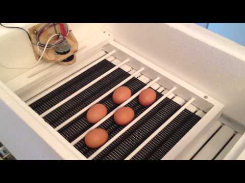 DIY automatic egg turner, IncuKit DC12