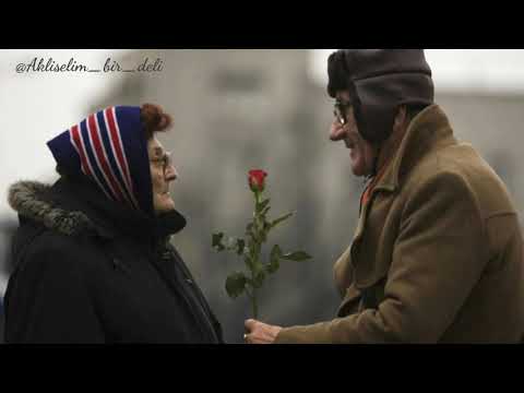 Tara Tiba | Abrisham