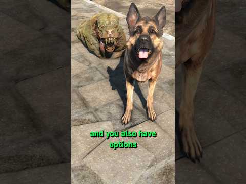 Fallout 4’s Best Dog Vendor