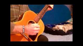 Lonely at the Top Randy Newman guitar by Jim Moran