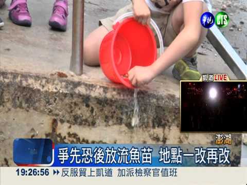 百人放流魚苗失控 放生變殺生!