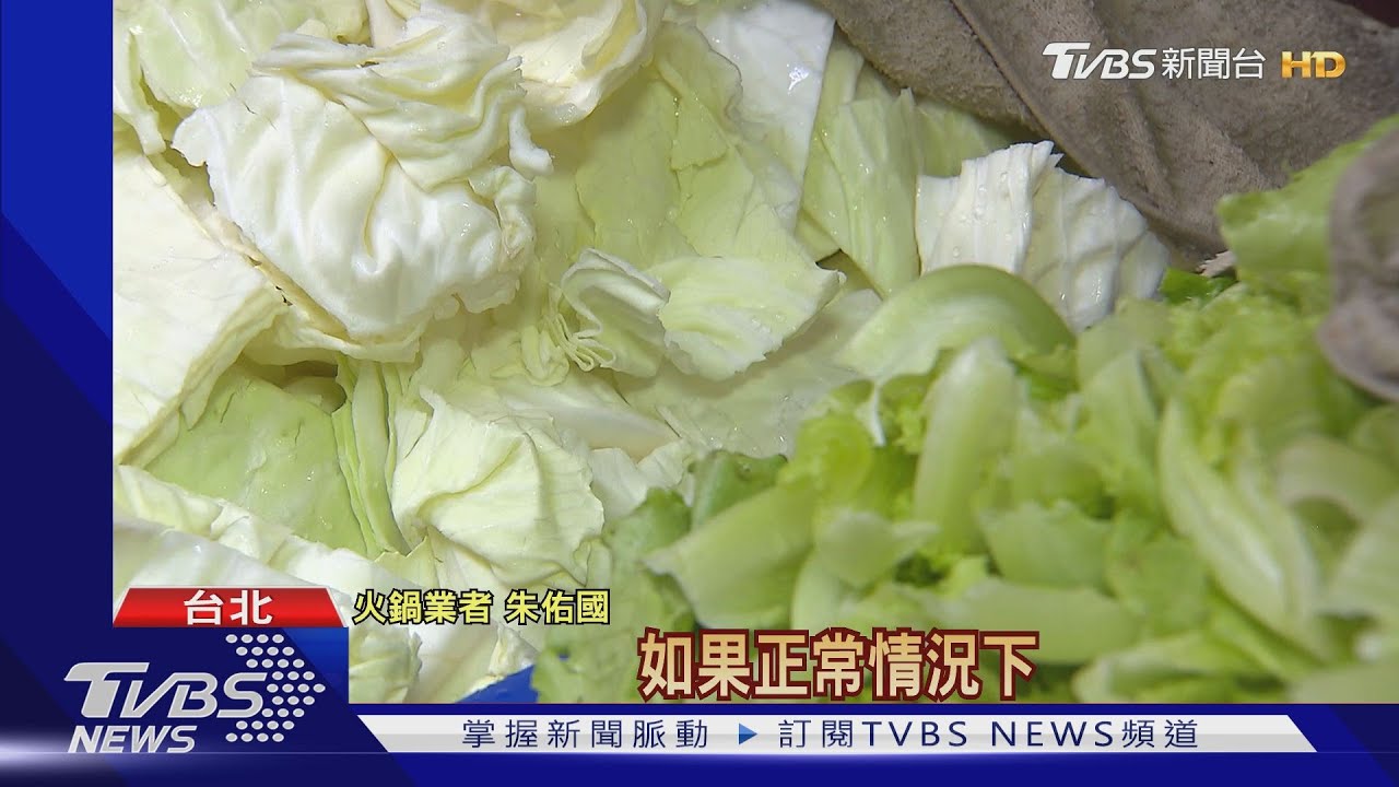 天熱蟲害！高麗菜「漲1倍」　火鍋業進貨：壓力大
