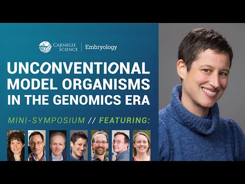 Comparative Analysis of Gene Regulatory Networks in Extremophiles (Amy Schmid) // Minisymposium 2020