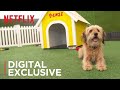 Benji  | Los Angeles Premiere | Netflix