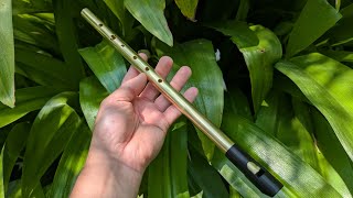 Video thumbnail for Bb major Whistle | Brass, tunable | Rui Gomes by Rui Gomes | Sopros