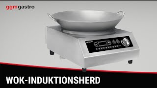(2 pièces) Wok à induction - 3,5 kW - avec wok