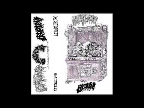 Halitosis / Orchiopexy - Split (2018 - Goregrind)