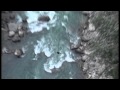World Largest Canyon Swing The Last Resort