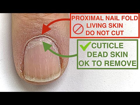 HOW to FIX CUTICLES [YOU'VE BEEN CUTTING THE WRONG THING!] 🤯🥵