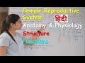 Female Reproductive System In Hindi External Genitalia Area Internal Genitalia Area Functions