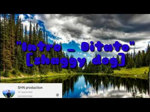 [DITATO]_SHAGGY DOG_(Lirik)