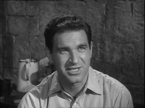 Ghost Squad - Assassin