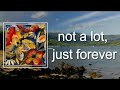Adrianne Lenker Not A Lot Just Forever Lyrics