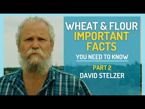 Wheat & Flour - Important Facts You Need to Know: A Masterclass with David Stelzer (Part 2 of 2)