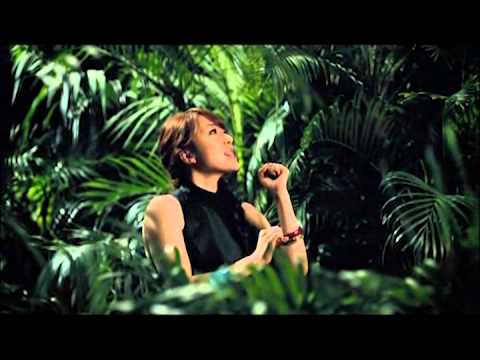 アリエージュ平原 - 定義