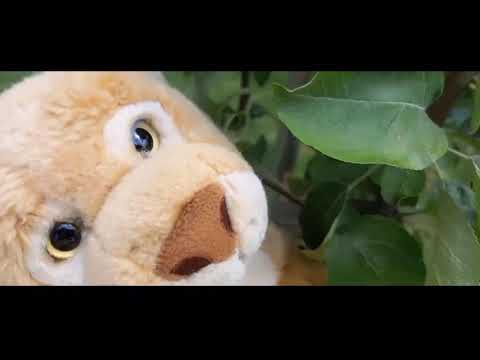 @Leons.schatzkiste - Es ist einfach krass (Offizielles Musik Video)