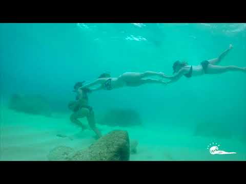 Waimea Bay Surf Camp | Yoga Surfing and Adventure in Hawaii