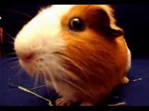 What Are Your Personal Convictions (2)