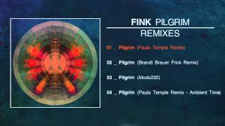 Fink - Pilgrim (Paula Temple Remix)