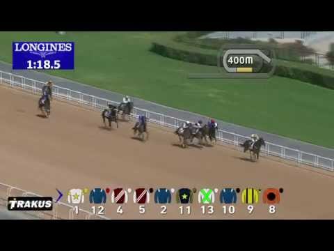14.02.2015 Meydan (Dubai/UAE) 2.Race Radio1 Breakfast Show - Handicap 1.600 m