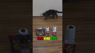 OPENING POKEMON dar motanul meu alege! #pokemon #tcg #shorts #pokemoncards #cat #pokemontcg #opening