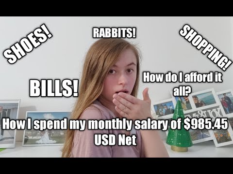 How I Spend My 22,000 CZK / 985.45 USD Monthly Salary in Prague, Czech Republic | Vita Luka