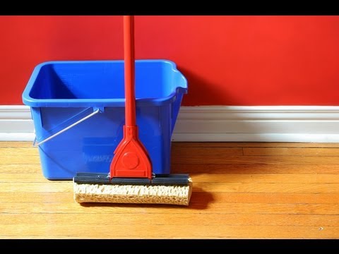 How To Remove Cat Urine From Wood Floors