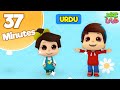 Omar And Hana Urdu Compilation Of Series Islamic Cartoon Kids