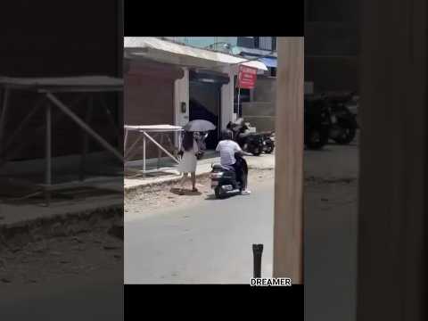 Tau reng mai 🤣 thlem thiam in har 🤣🤣 #nuihzatthlak #fiamthu #mizoram #mizo #mizotrends #mizofunny