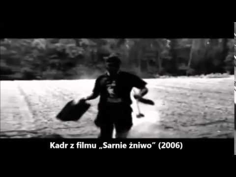 „Sarnie żniwo” – każdy cygan ma ślicznego… & każdy arab ma ślicznego…