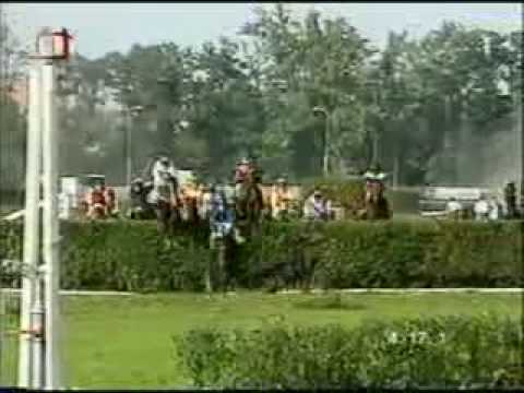 velká pardubická 2001 Chalco.flv