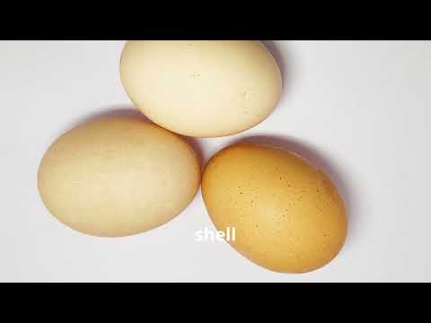 How to Tell If an Egg Is Fresh