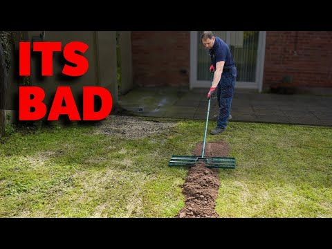 Fixing a Small Lawn (Bumpy & full of holes) LAWN SOS!