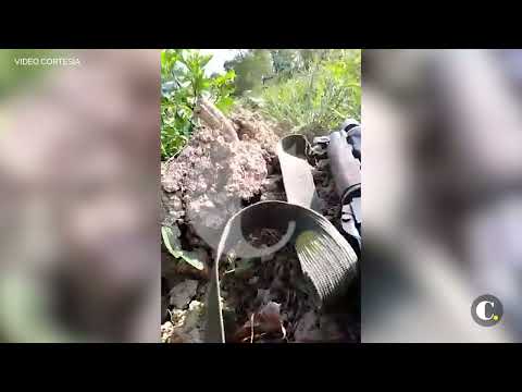 Video de combate entre ELN y disidencias de Farc | El Colombiano
