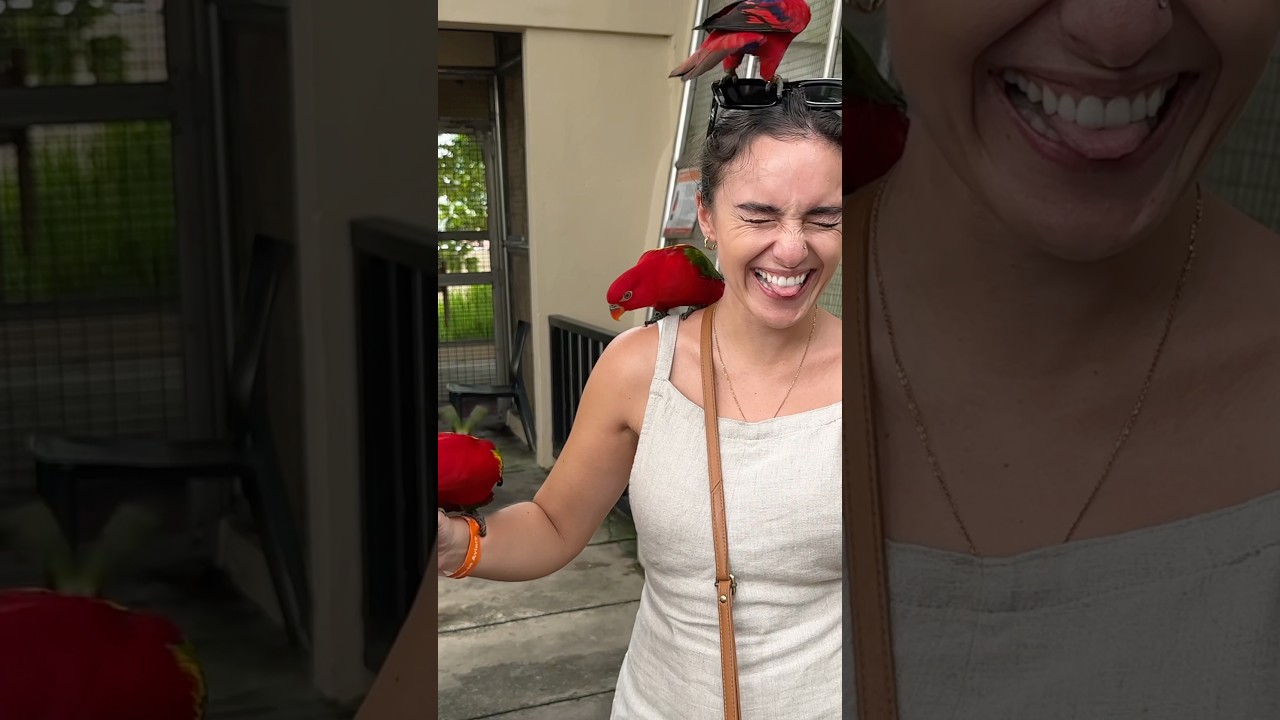 YouTube Short thumbnail