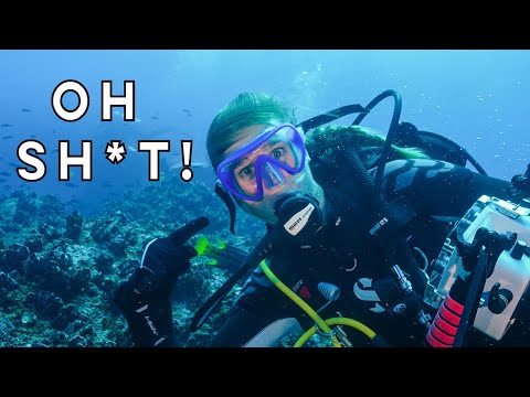 REMOTE and EXTREME current diving! Wolf Island, Galapagos! [Part 5]