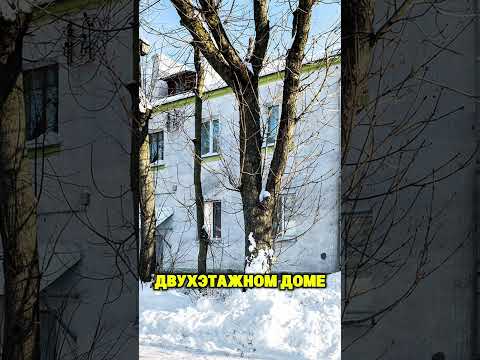 фото розы люксембург ул, 152, минск, 2 комн., 30.5 м² 0