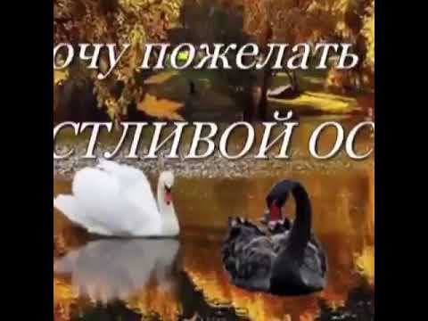 11 марта 2020 г.