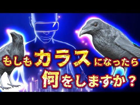 饹Υ᥿С֥åץ꡼ǰư֥åɥ󥿥꡼